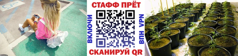 ГАШИШ Тотьма