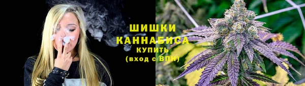 молекула духа Михайлов