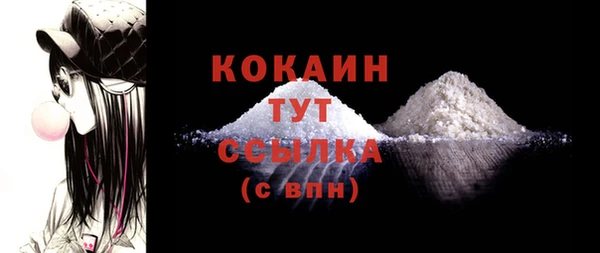 молекула духа Михайлов
