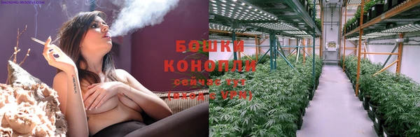 молекула духа Михайлов