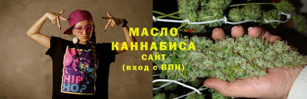 молекула духа Михайлов
